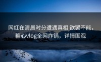 网红在清晨时分遭遇真相 欲罢不能，糖心vlog全网炸锅，详情围观