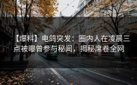 【爆料】电鸽突发：圈内人在凌晨三点被曝曾参与秘闻，揭秘席卷全网