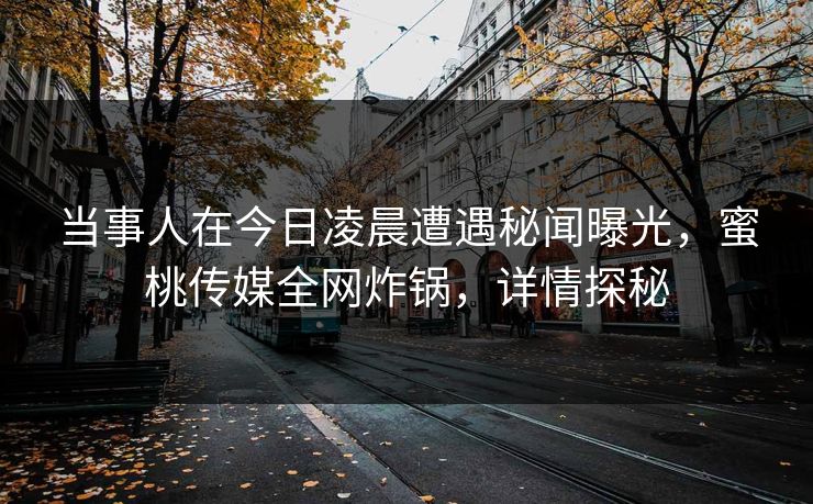 当事人在今日凌晨遭遇秘闻曝光,蜜桃传媒全网炸锅,详情探秘 当事人在今日凌晨遭遇秘闻曝光,蜜桃传媒全网炸锅,详情探秘
