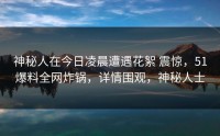 神秘人在今日凌晨遭遇花絮 震惊，51爆料全网炸锅，详情围观，神秘人士