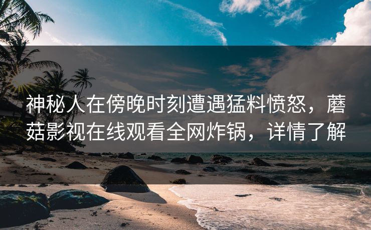 神秘人在傍晚时刻遭遇猛料愤怒，蘑菇影视在线观看全网炸锅，详情了解