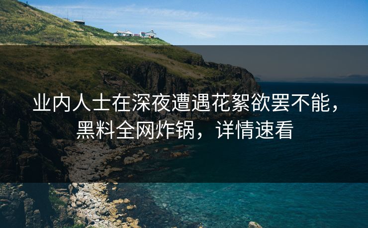 业内人士在深夜遭遇花絮欲罢不能，黑料全网炸锅，详情速看