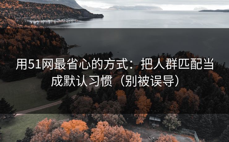 用51网最省心的方式:把人群匹配当成默认习惯(别被误导) 用51网最省心的方式:把人群匹配当成默认习惯(别被误导)